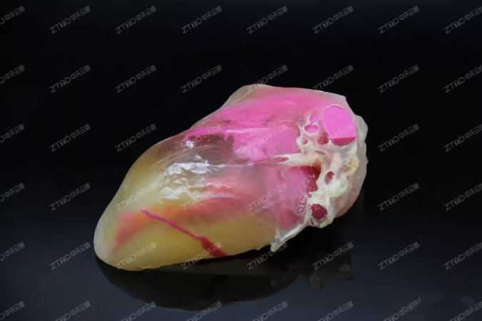 名称:肝脏 材质:光敏树脂 工艺:全彩打印