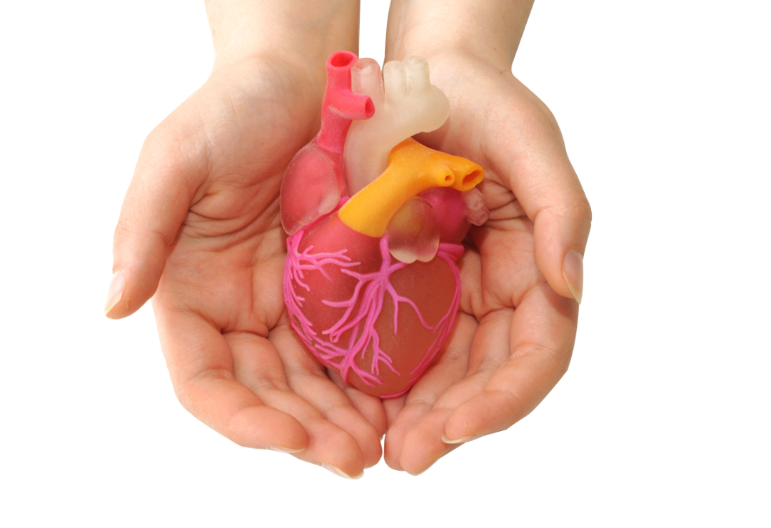 大幅缩短手术时间及治疗成本,3d打印模型助力精准医疗